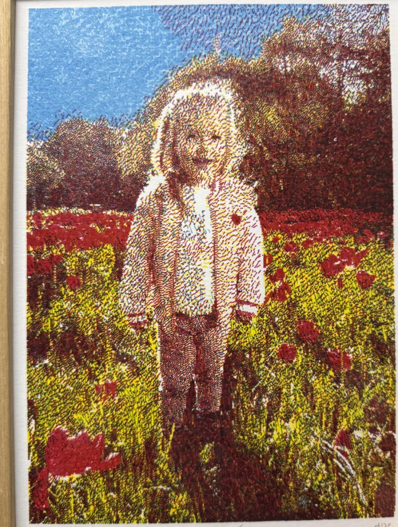 a child standing in a field of red poppies, rebuilt in dense multicolor hatching