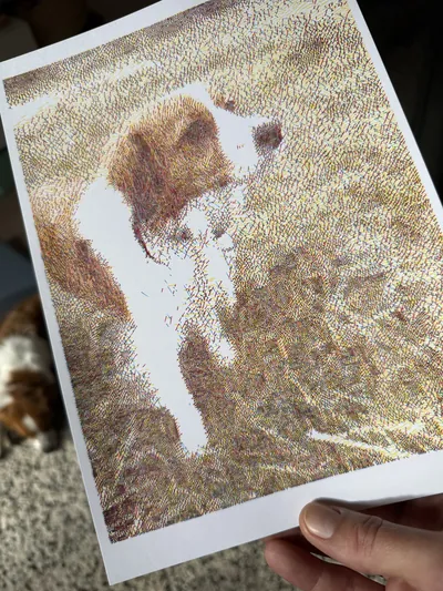 a dog resting in a sunlit garden, rebuilt in warm multicolor hatching
